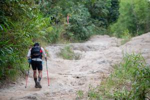 BIB: 
                            <button type="button" onclick="openModal(13715875)" class="btn btn-primary btn-sm float-right btn-popup" data-toggle="modal" data-target=".modal-high-quality">
                        <i class="fas fa-shopping-cart"></i> Add to Cart
                    </button>
                                            <button type="button" onclick="isThisMe(13715875, true)" class="btn btn-success btn-sm float-right btn-popup btn-isme hidden" data-toggle="tooltip" data-placement="bottom" title="นี่คือรูปของคุณใช่ไหม คลิกที่นี่เพื่อเอาเข้าอัลบั้ม">
                        <i class="fas fa-plus"></i> Add to album
                    </button>
                    <button type="button" onclick="isThisMe(13715875, false)" class="btn btn-warning btn-sm float-right btn-popup btn-isnotme hidden">
                        <i class="fas fa-ban"></i> Remove from album
                    </button>